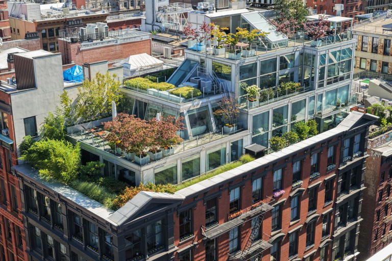 Thierry Henry’s massive NYC penthouse lists for $25 million—plus 5 more ...