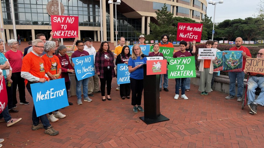 Northern Virginians voice opposition to massive Dominion-NextEra merger during public hearing