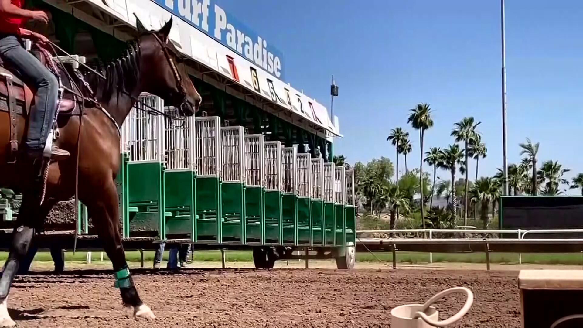 Arizona officials question Turf Paradise’s readiness for racing