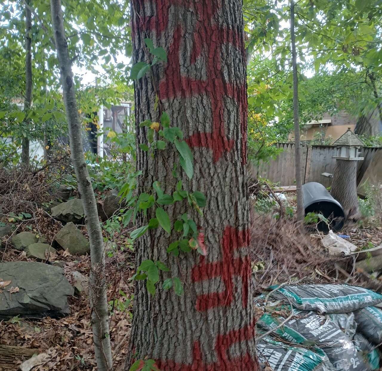 Violent attacks at Milford homeless encampment spark investigation ...