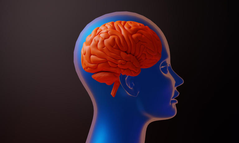 Brain freeze has nothing to do with your brain getting cold, and the ...