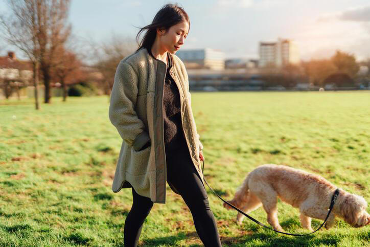 What expert dog trainers want you to know about potty training using a bell