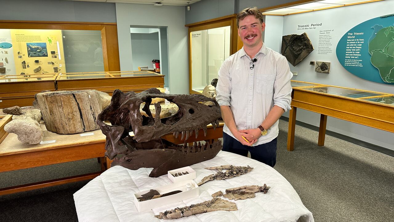Fossil researchers believe dog-sized raptor may have fed on larger ...