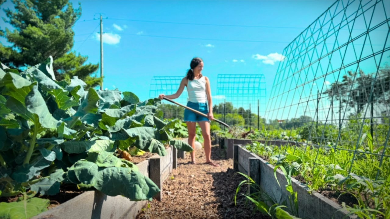 Simple garden tasks that can help you grow bigger harvests 🌱🥕