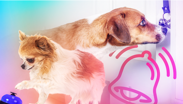 What expert dog trainers want you to know about potty training using a bell
