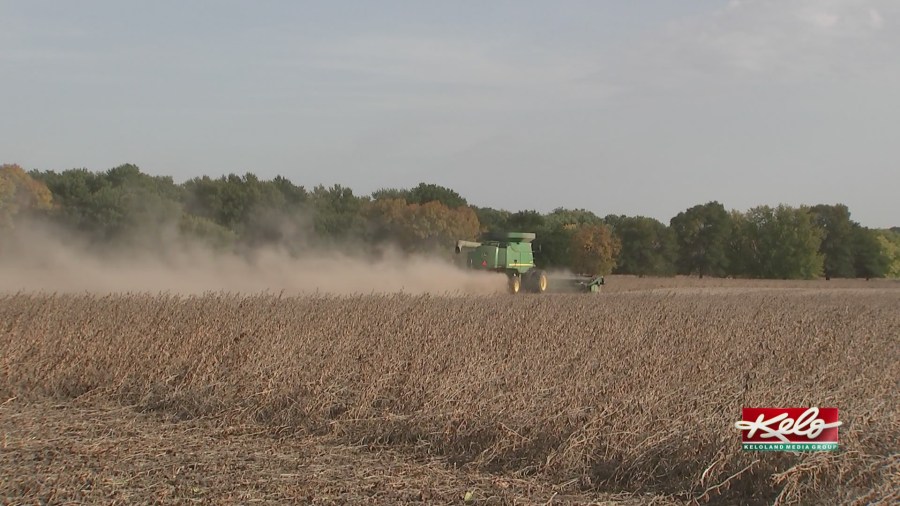 Governor's cheaper diesel raises questions with farmers