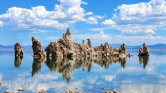 In 1994, California ordered Los Angeles to curb its Mono Lake ...