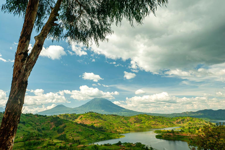 9 things to know before you plan a safari in Rwanda, according to a ...