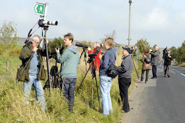 The extraordinary sighting that sent birdwatchers flocking to Bolton
