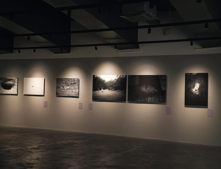 Hampi Art Labs unveils Red Rocks, Rivers and Monkeys, a new exhibition