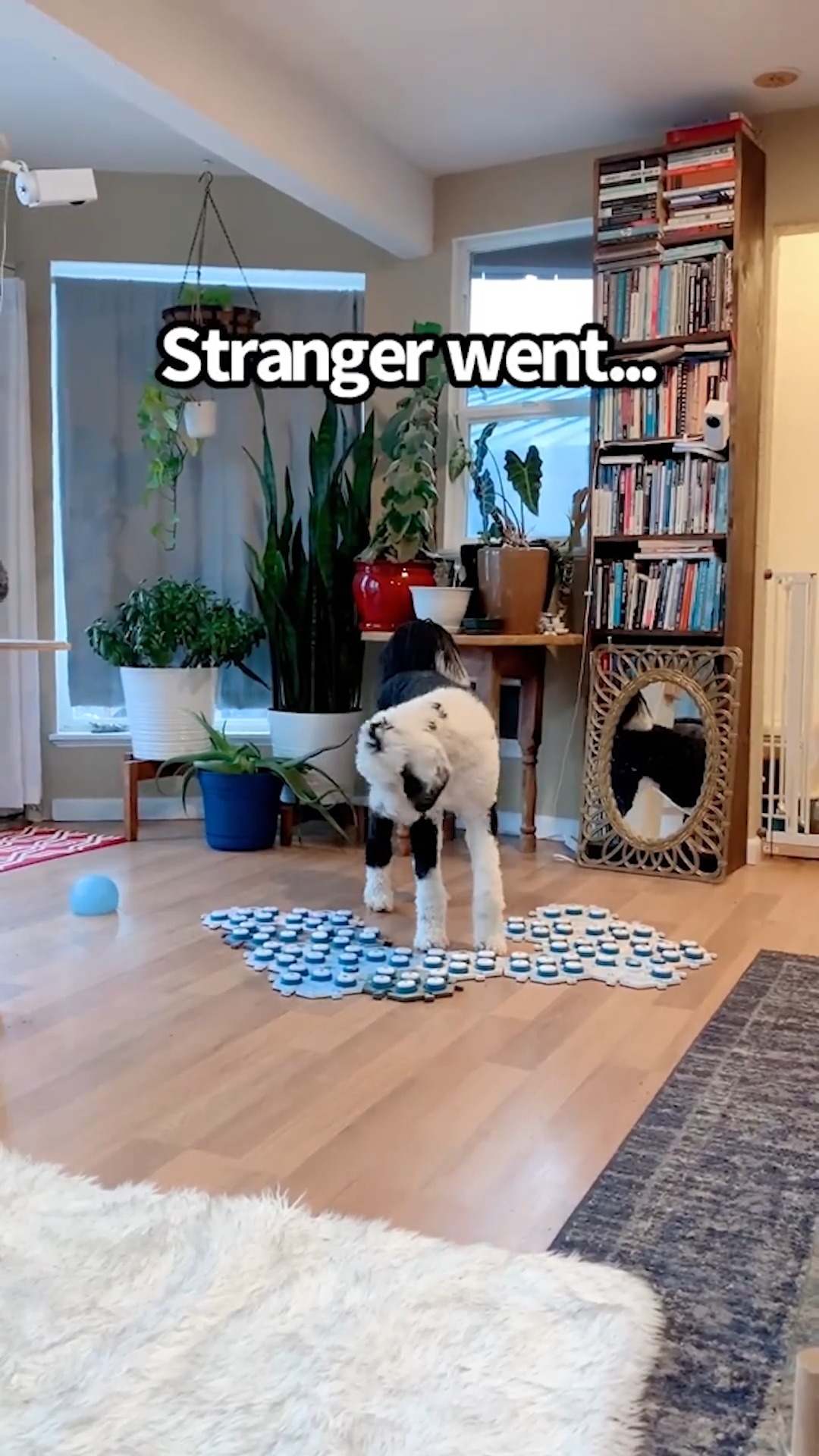 Bunny’s buttons spark a conversation about anxiety