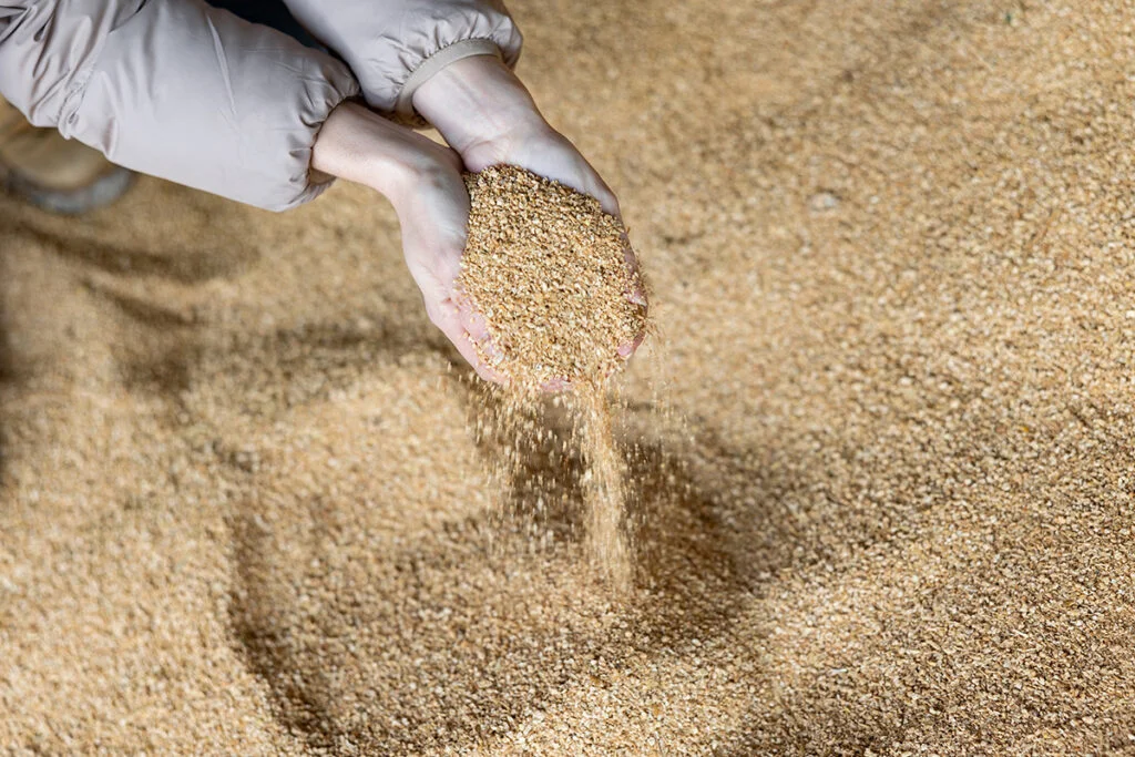 Morocco to receive up to $33.1 million from USDA for food safety and ...