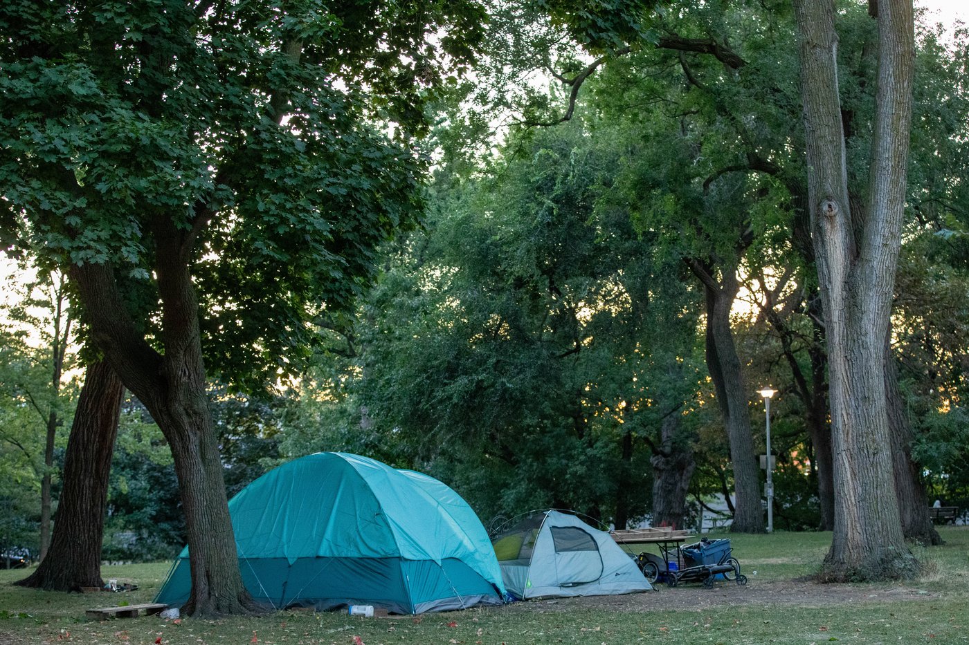 Ontario's top court paves way to reopen challenge of Hamilton's anti ...
