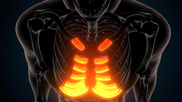 Four of your ribs are not attached to anything at the front, and you ...