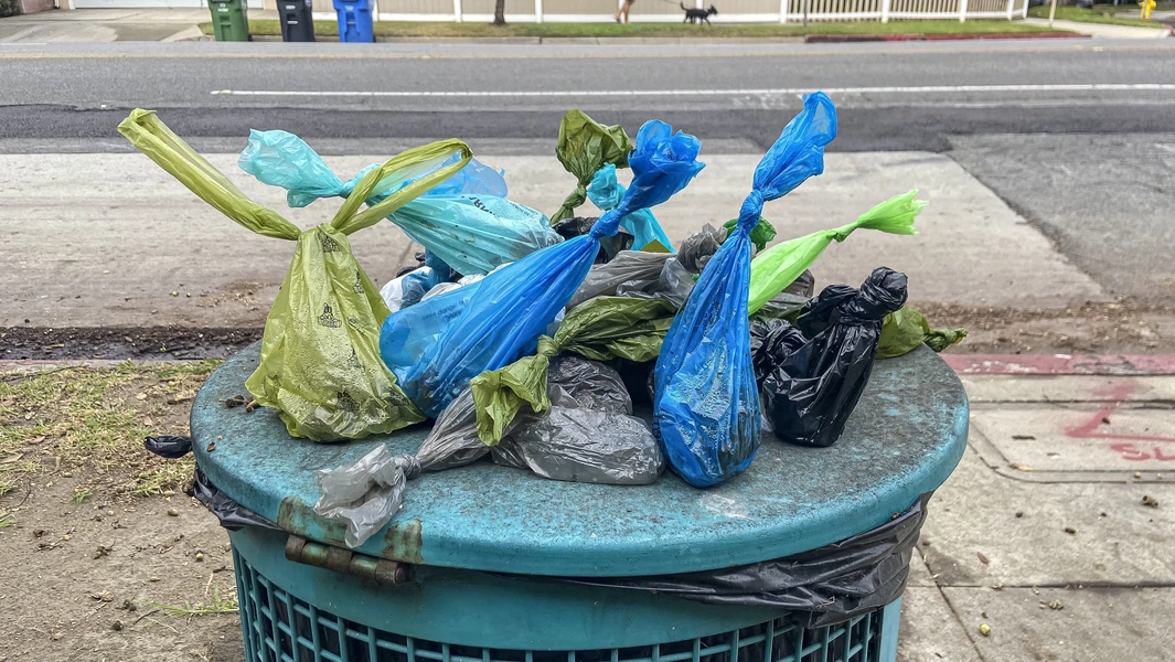 The real scoop on eco-friendly poop bags