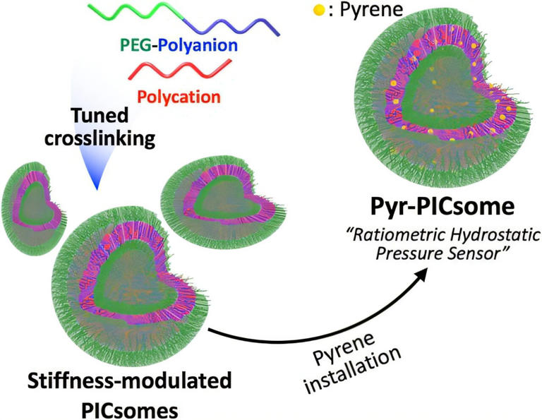 Adjustable nanosensors turn water pressure into fluorescent signals ...