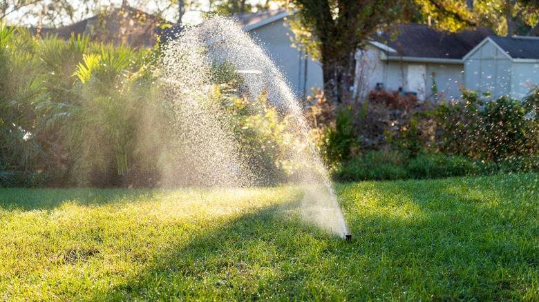 The best time to stop watering your lawn this fall for a healthy, green ...