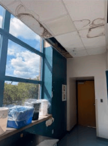 New Haven Board of Alders outlines immediate action plan after ongoing ...