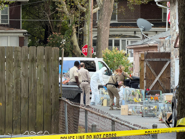 Police, game wardens descend on Harrisburg home over exotic birds