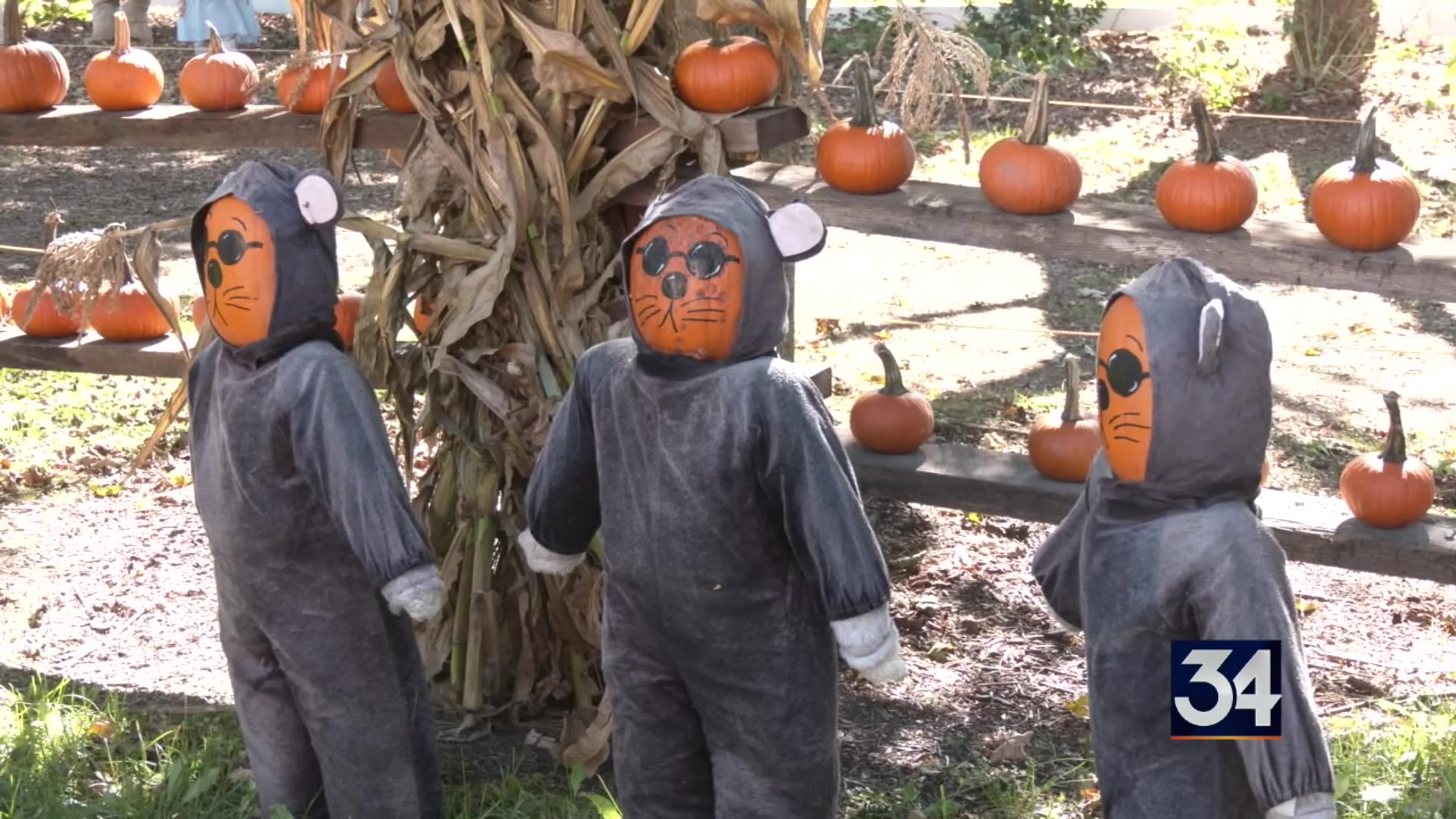 Local farms offer fun, food for community to enjoy