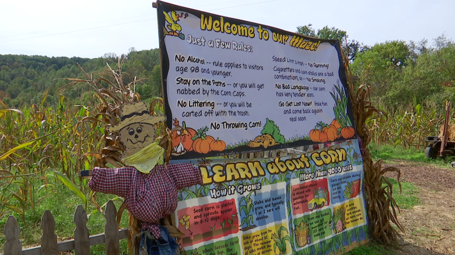 Cooper Family Farm corn maze open for the season
