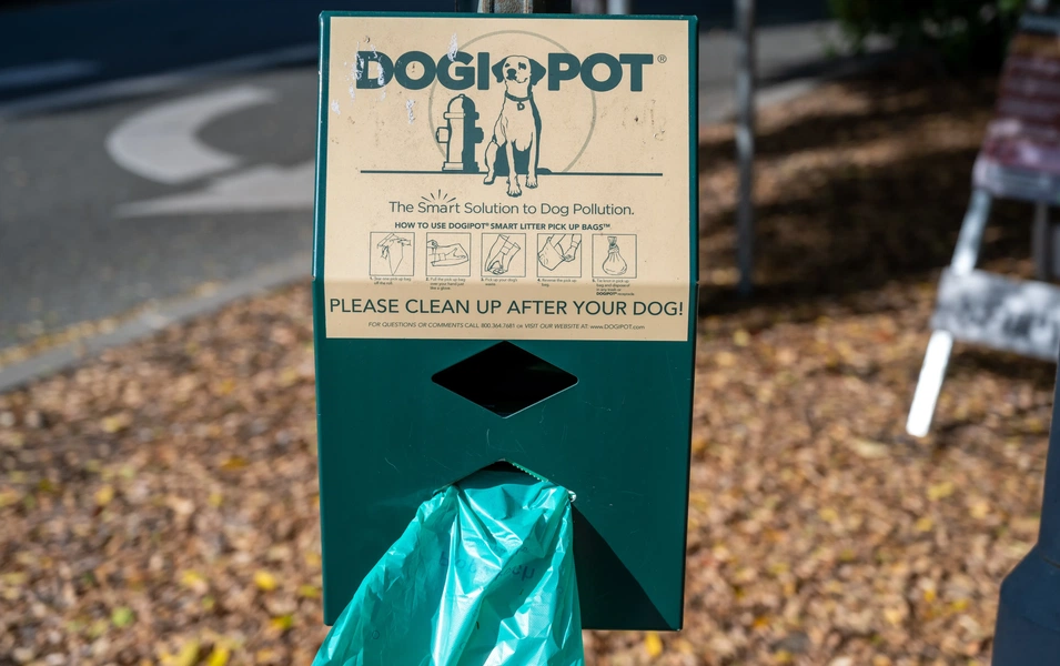 The real scoop on eco-friendly poop bags