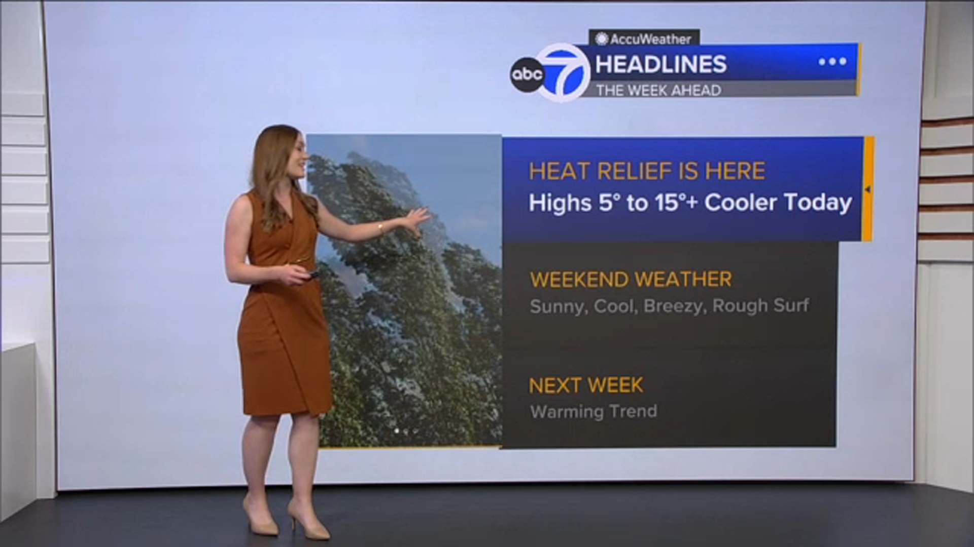 AccuWeather forecast: Cooler day around Bay Area; increased risk of ...