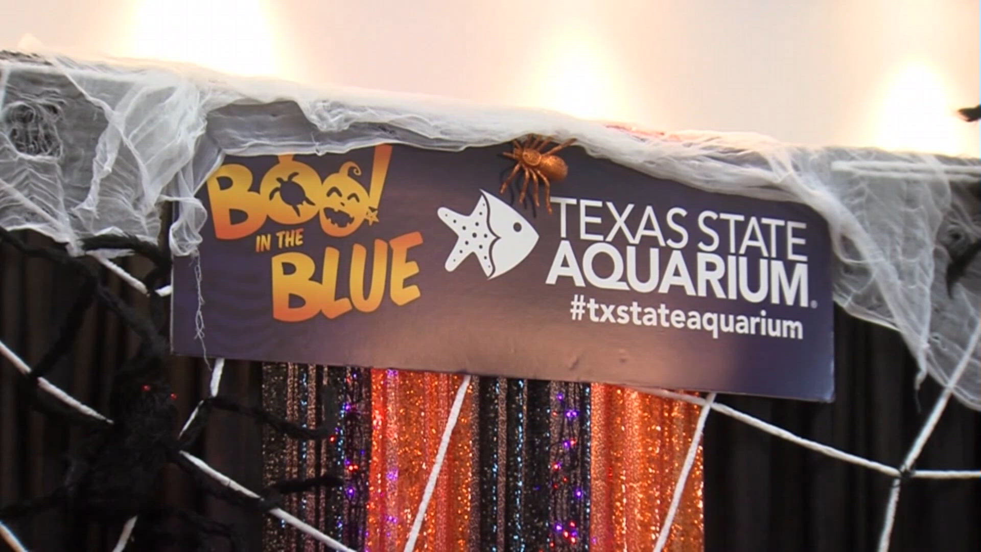 Boo! In the blue returns to Texas State Aquarium Oct. 17–18