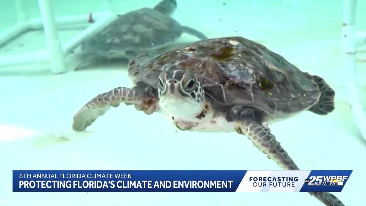 Florida Climate Week brings focus to environmental challenges and ocean ...
