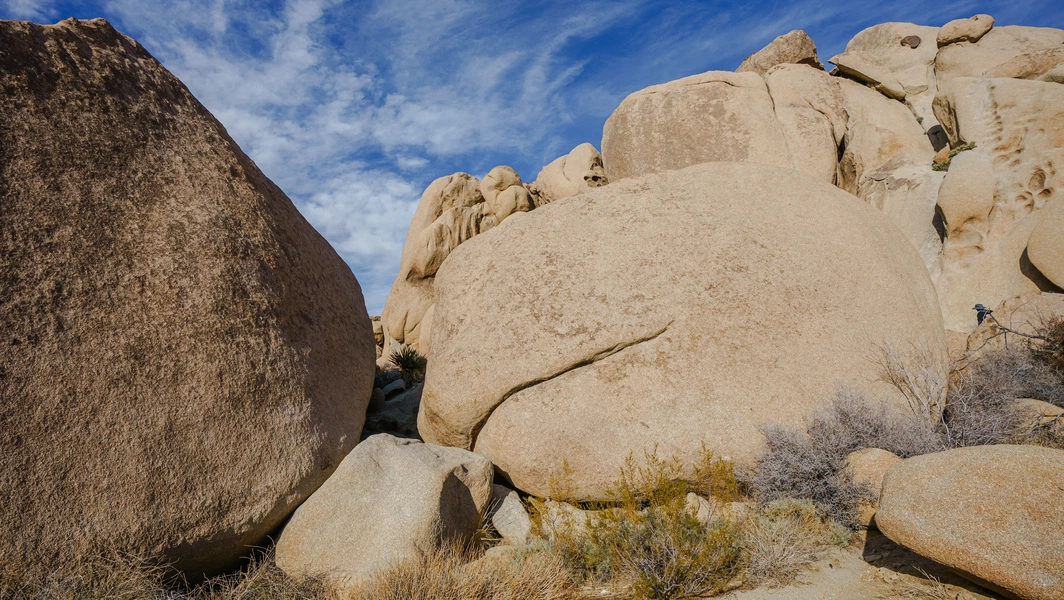 5 natural wonders of Joshua Tree