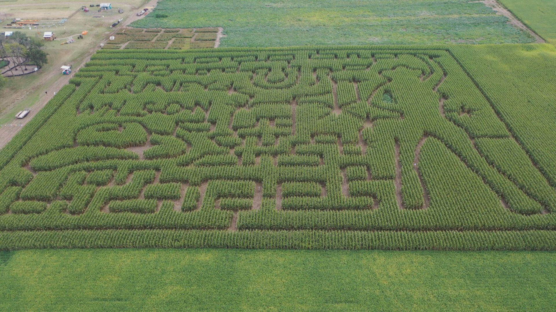 Mazing Acres outside of Yankton in full fall swing