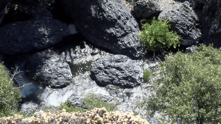 Iron Canyon fish passage project reopens 8.5 miles of Big Chico Creek ...