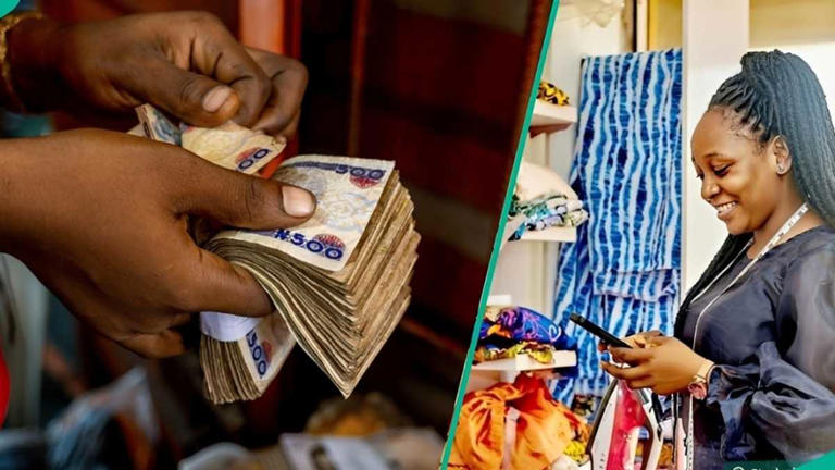 Find out how to apply as BOI launches portal for loan