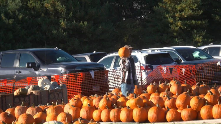 Foster Family Farm welcomes visitors this fall with mazes, pumpkins and ...