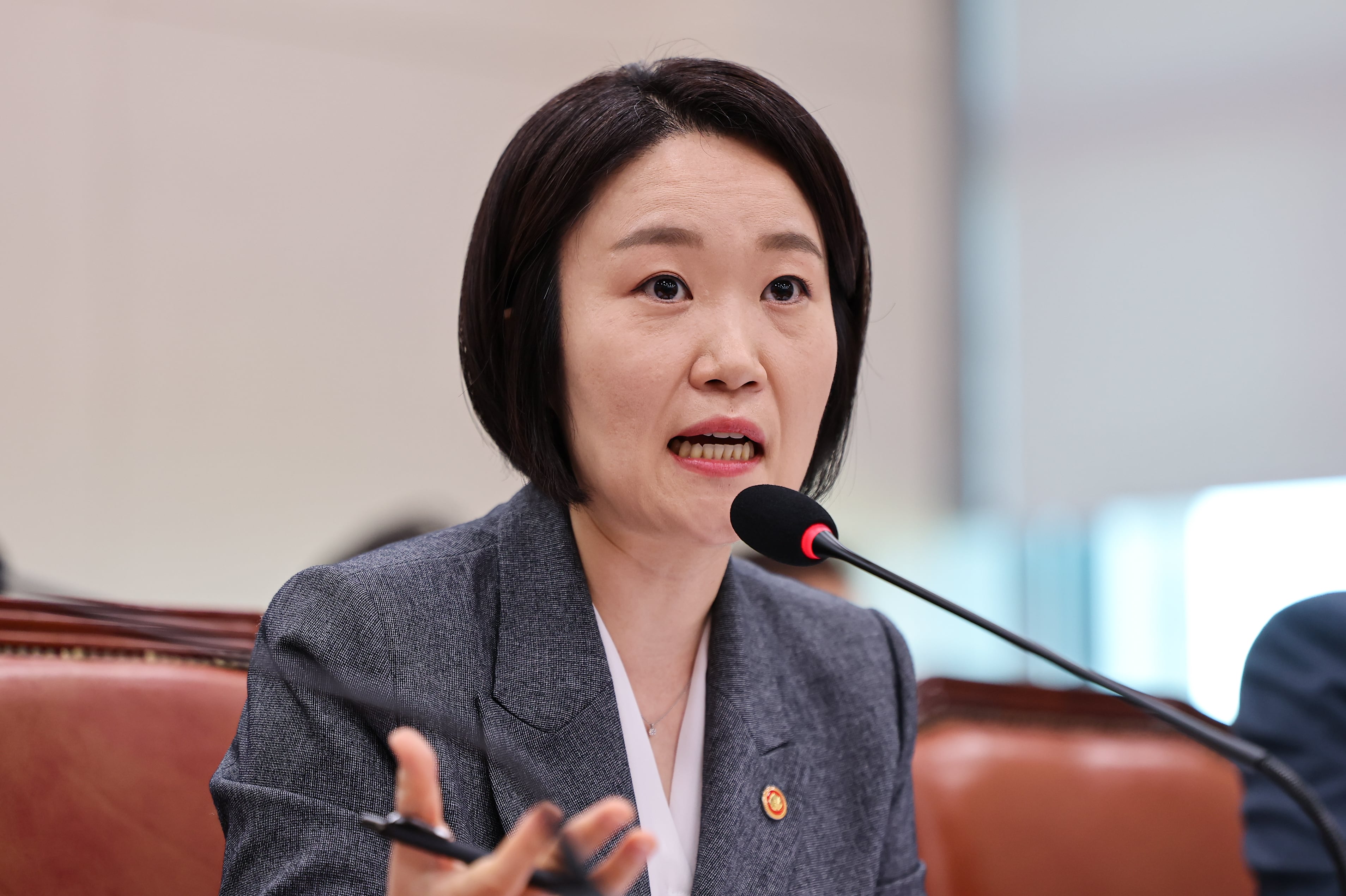 Rebuilding Korea Party condemns minister's differential wage push as ...