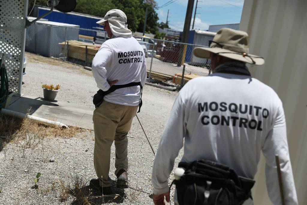 Symptoms of dengue fever as Florida hit by largest outbreak in decades