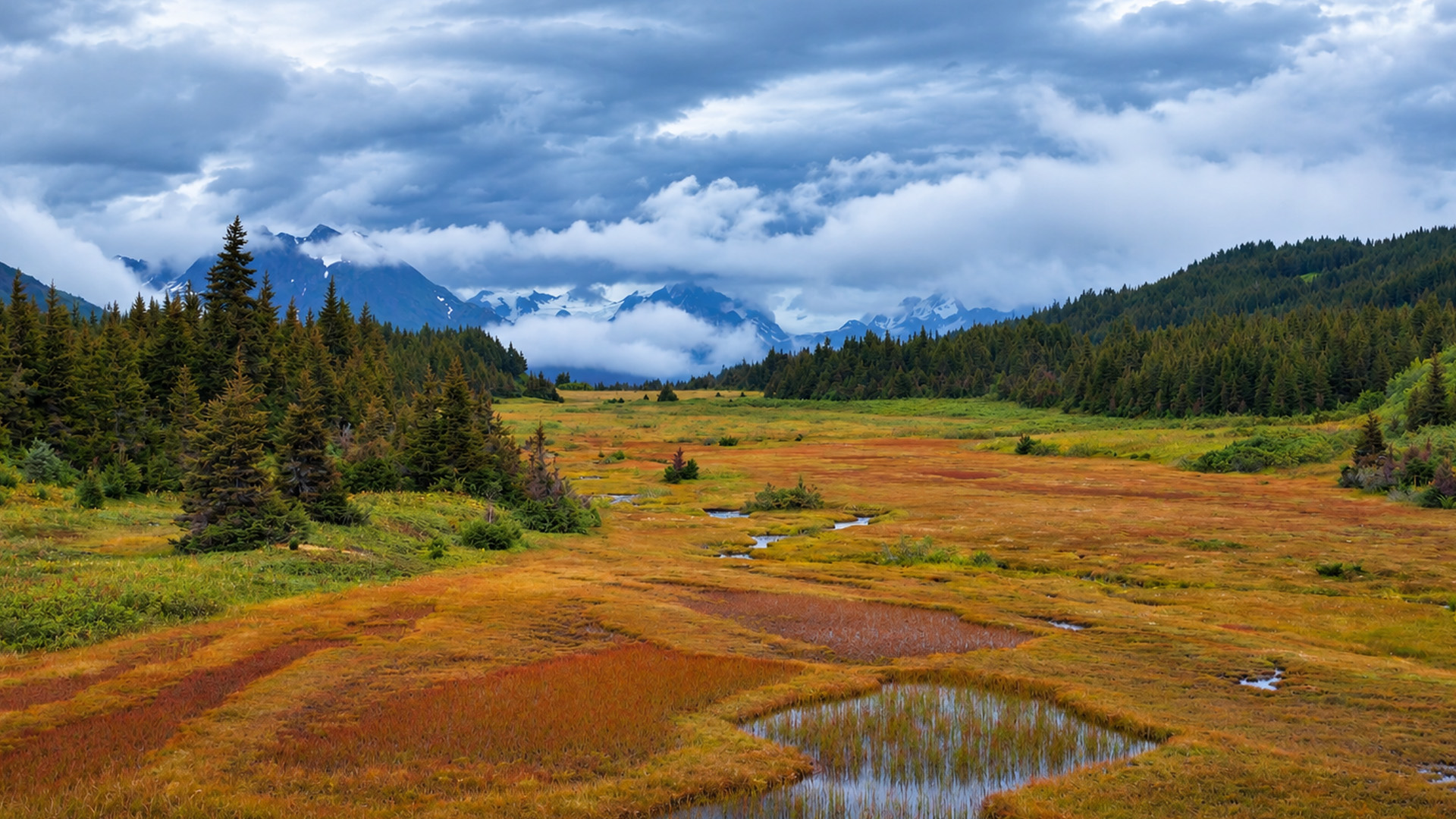 Alaska's colorful valley beneath snow-covered mountains
