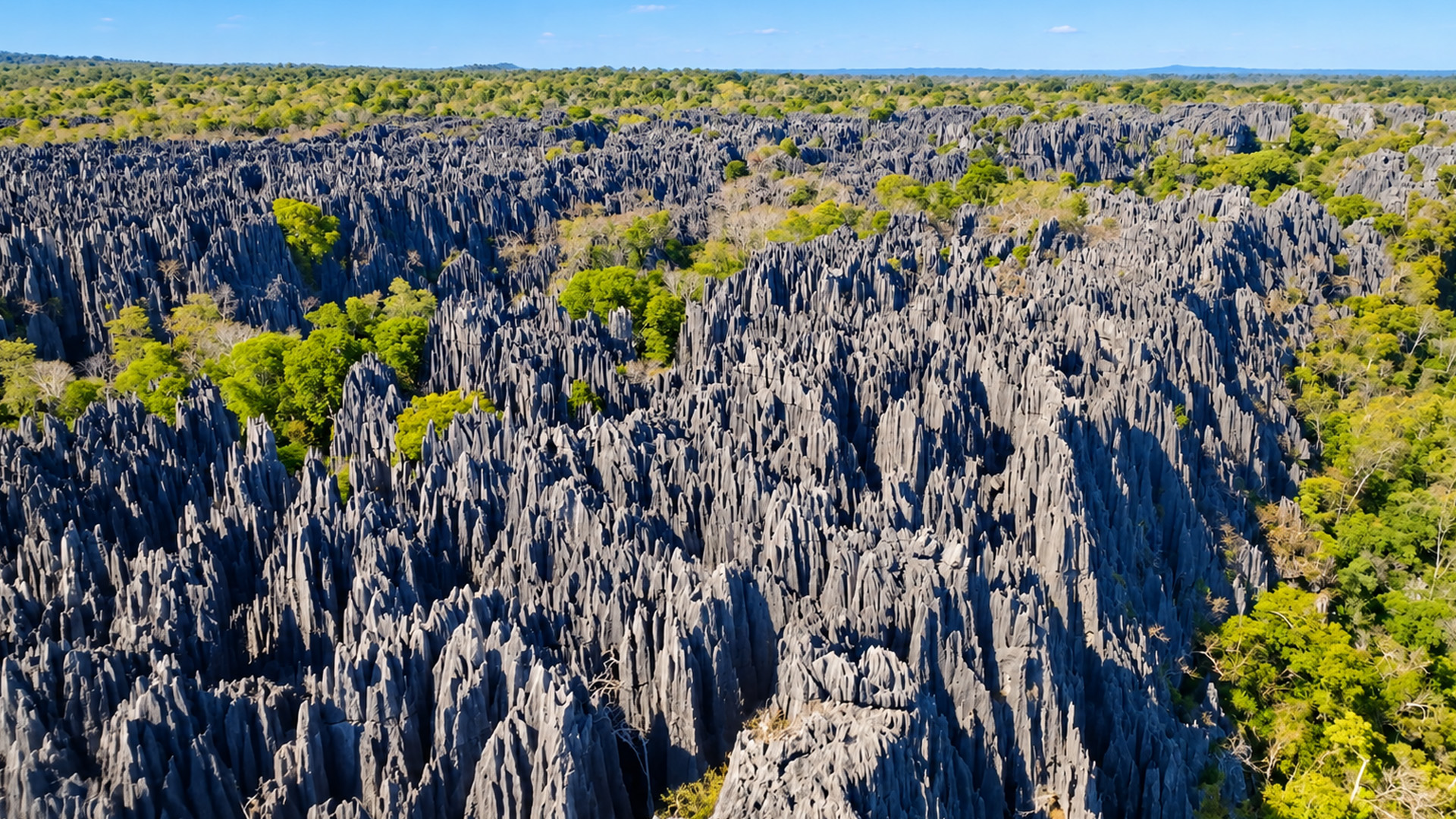 Madagascar's strange landscape covered in stone needles