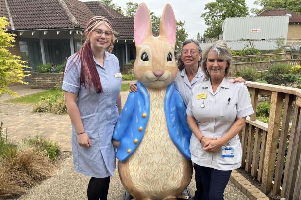 Forty Peter Rabbit sculptures from North East trail to be auctioned for ...