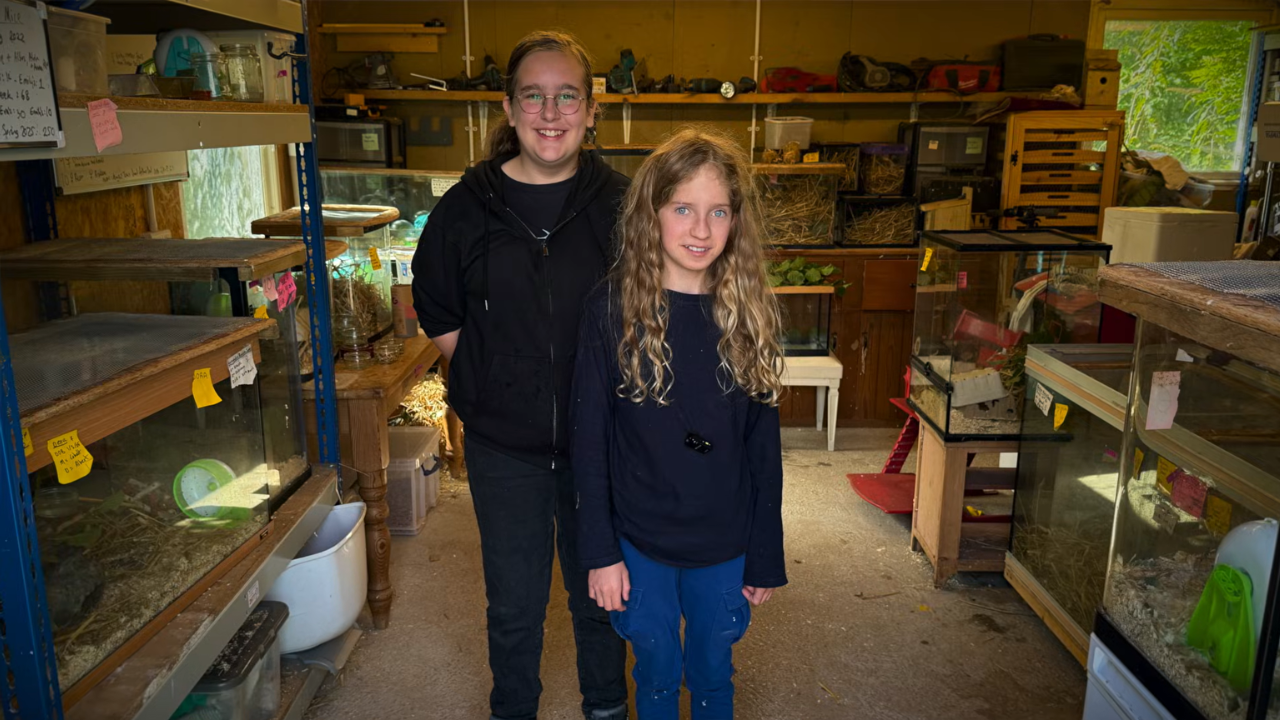 Two 14-year-olds recruit 20 children to raise endangered harvest mice ...