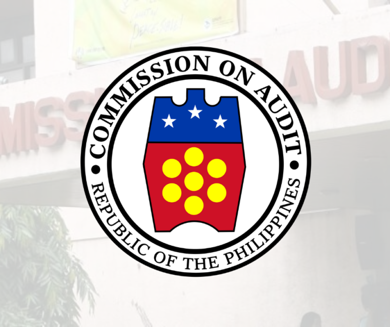 COA raps Mandaue: ₱193M allotted for works with scant details
