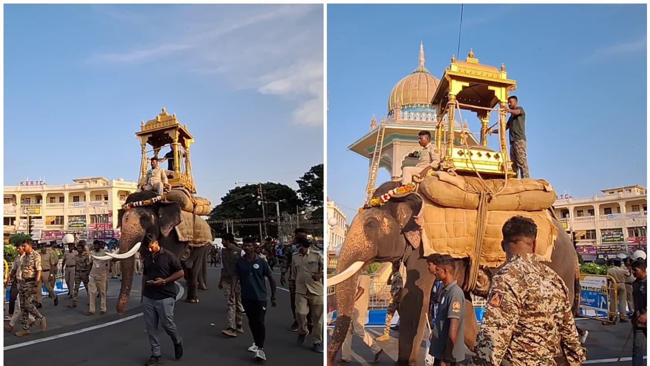 Mysuru Dasara 2026: Mahendra dropped from golden howdah race ...