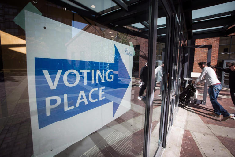 Overlapping local, provincial elections in BC causing confusion: candidates