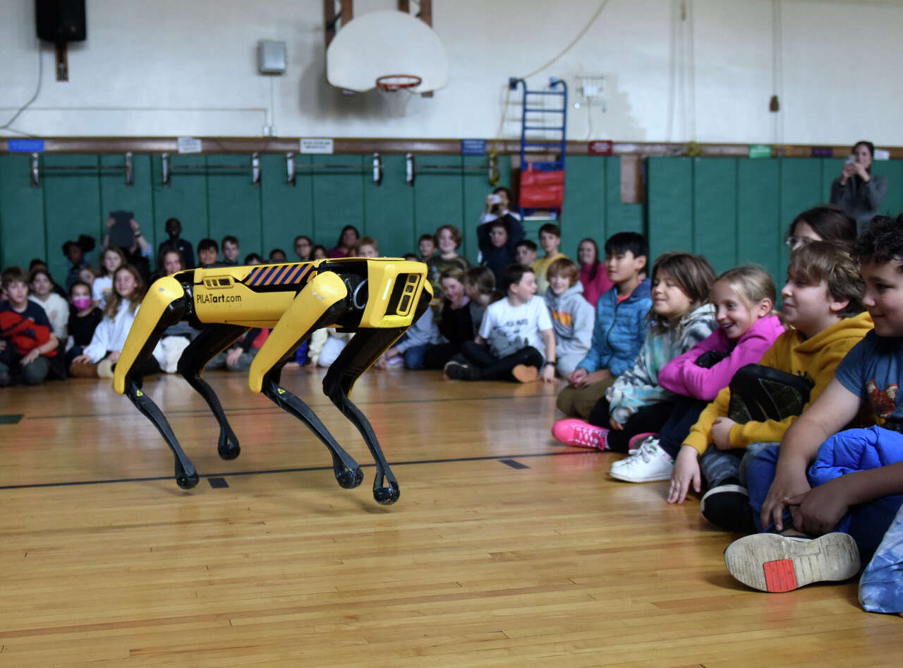 ICE buys robotic dogs from Connecticut company for patrols