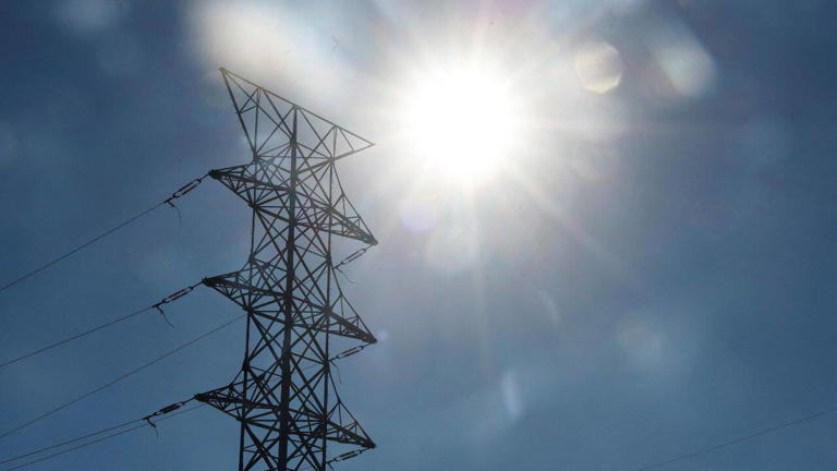 Transmission delays behind RE curtailment, not excess capacity: MNRE secy