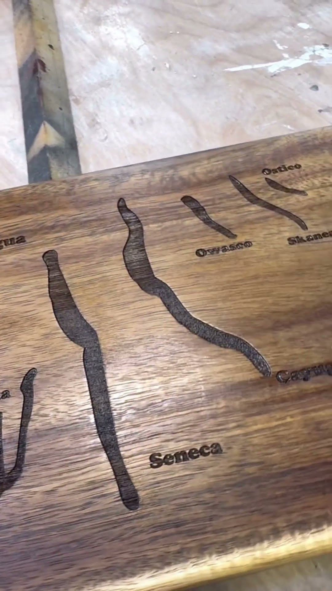 Finger Lakes engraving detail with my Aeon laser is great #workshop # ...