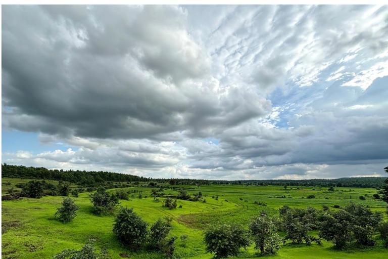 KZN weather: What to expect across the province this weekend