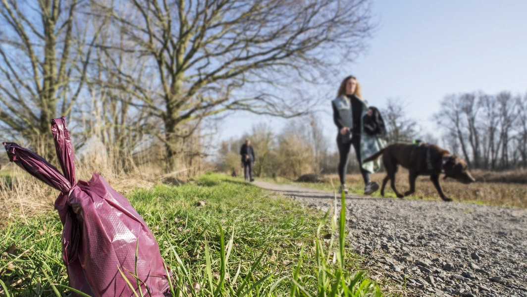 The real scoop on eco-friendly poop bags
