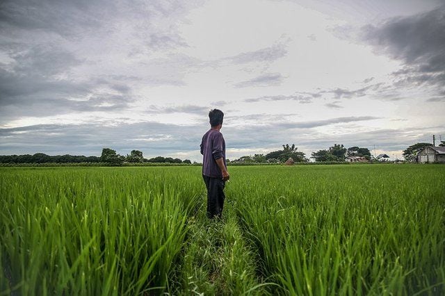 Farmers seen as key beneficiaries of ASEAN Food Security and ...