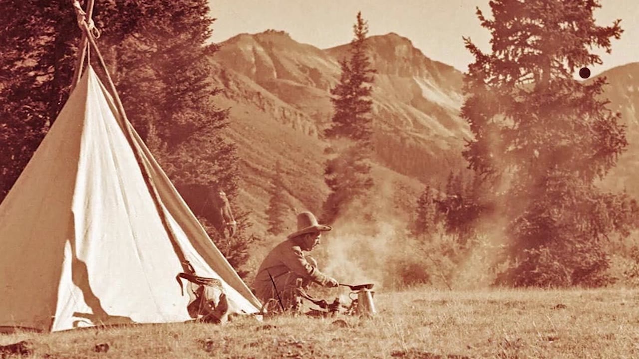 The terrifying true story of a rabid wolf attack